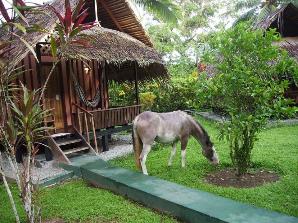 Coco Loco Lodge Hotel Coco Loco Lodge