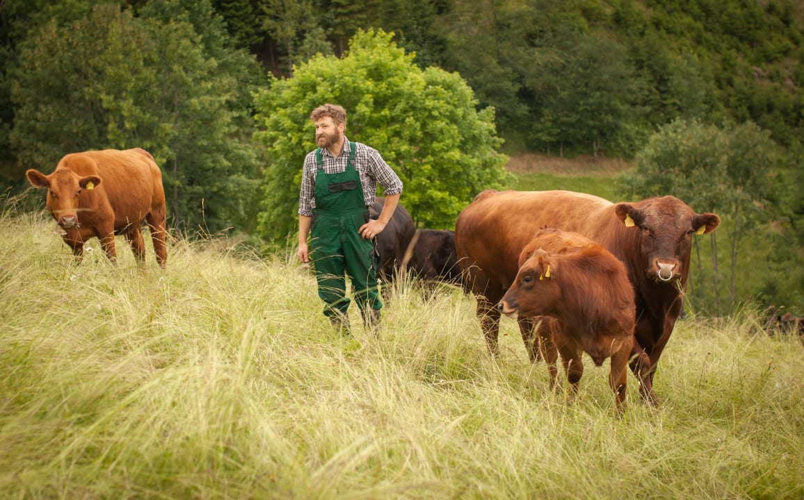 Sonstiges Naturferien Hilserhof