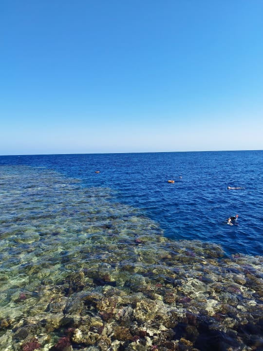 Strand Pickalbatros Sands Hotel - Port Ghalib