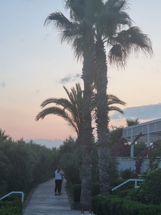Ausblick Alba Resort Hotel