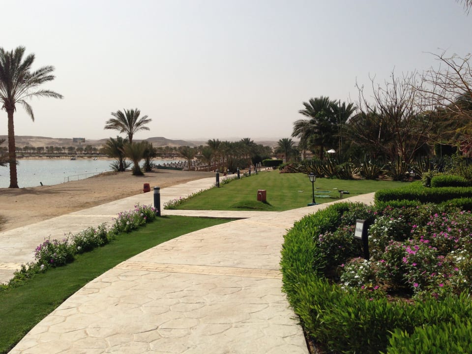 Aussicht auf die Bucht Steigenberger Coraya Beach - Adults only