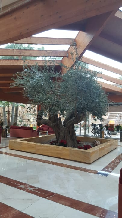 Lobby allsun Hotel Cormoran