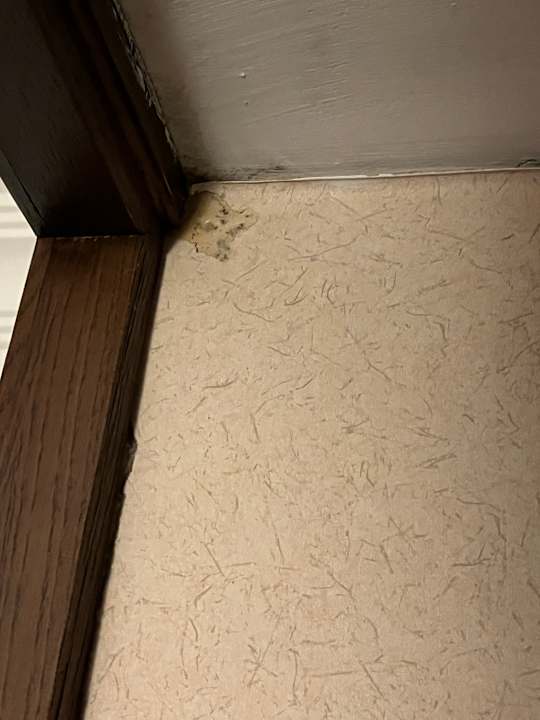 Zimmer Latanya Park Resort