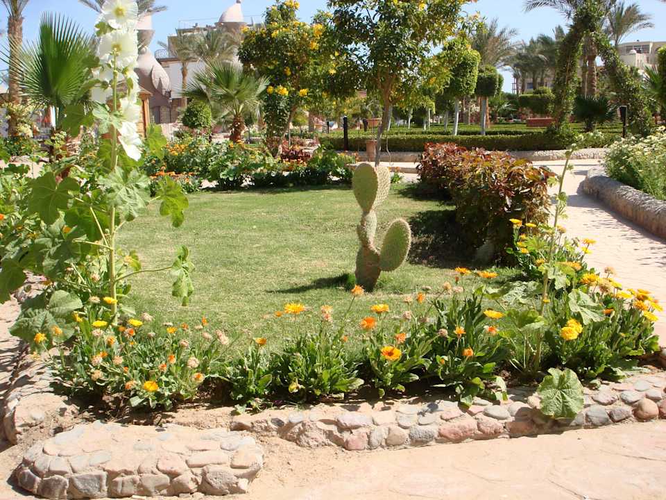 Растительность Riviera Aqua Park Resort