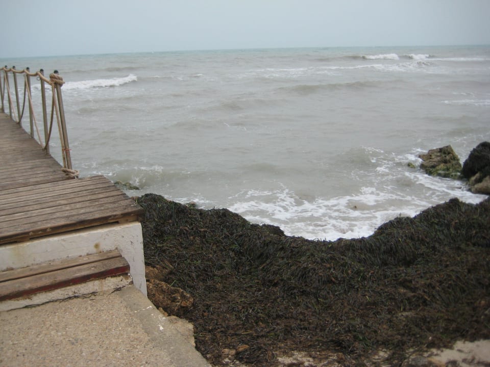 Algen Hotel El Mouradi Djerba Menzel