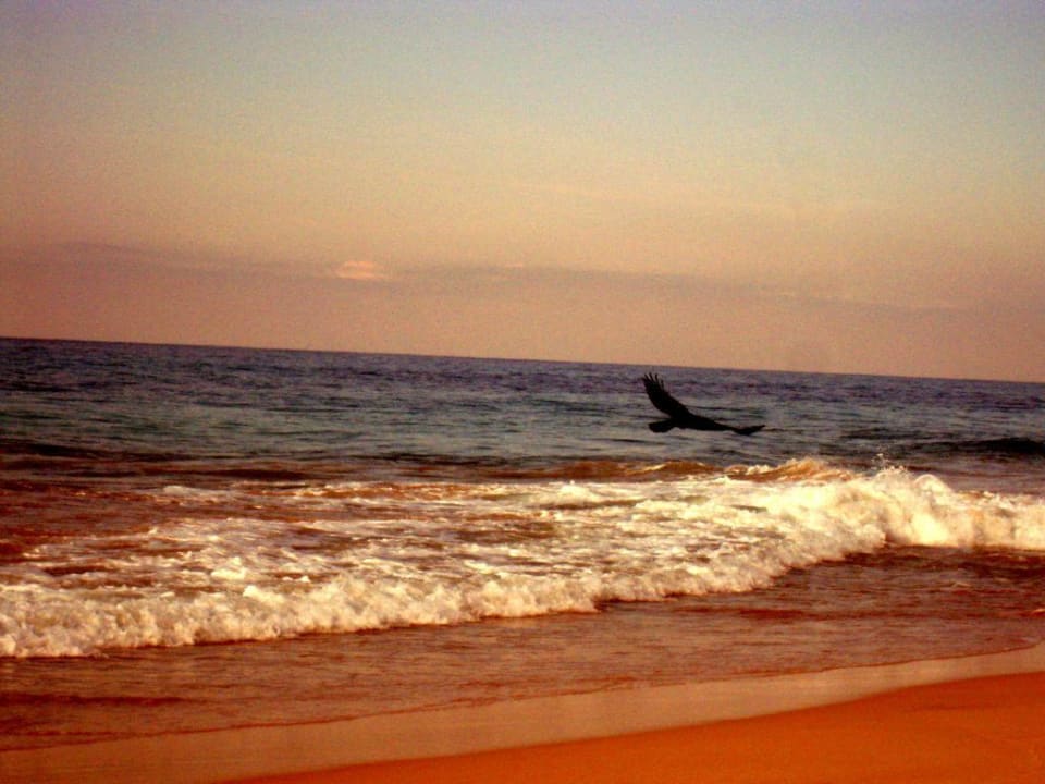 Wunderschöne Strandspaziergänge Hotel Koggala Beach