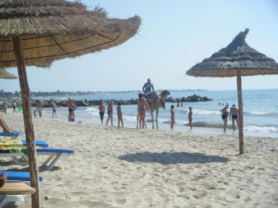Zum Wohlfühlen Djerba Castille