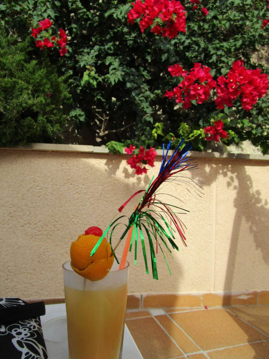 Pool Grupotel Orient