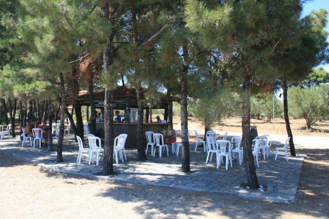 Strandbar Hotel Blue Dolphin Blue Dolphin Resort Hotel