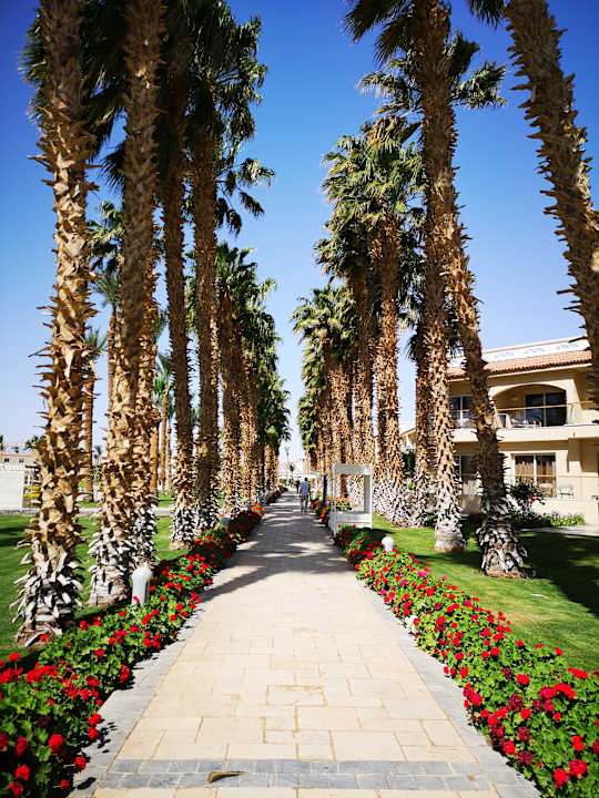 Gartenanlage Beach Albatros Resort