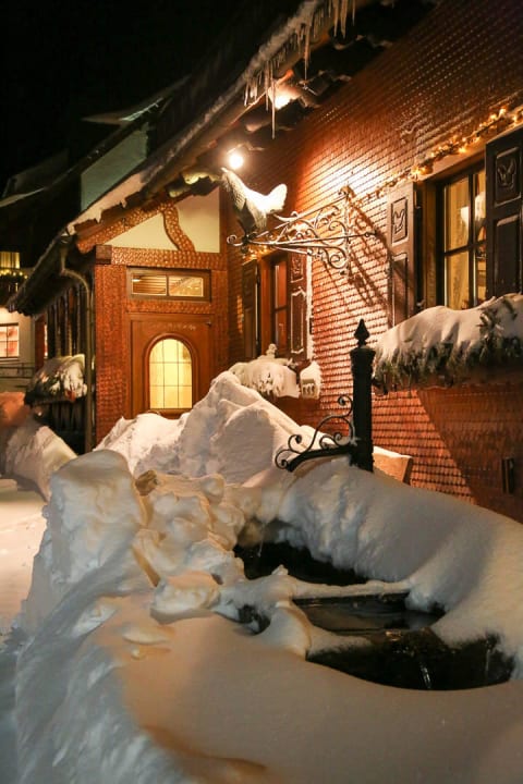 Auerhahn und verschneiter Brunnen Wellnesshotel Forsthaus Auerhahn