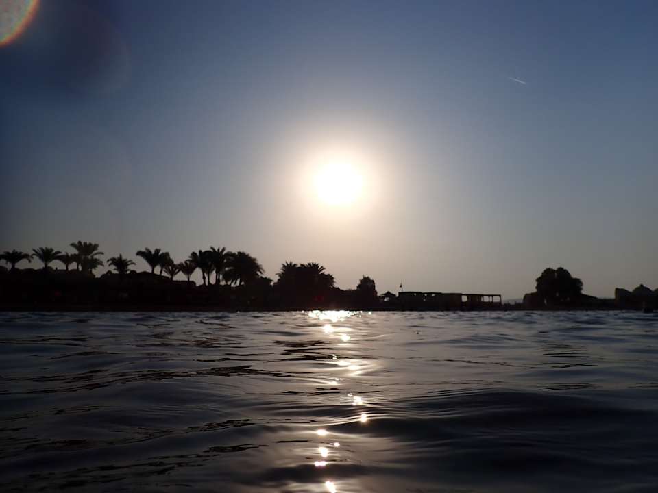 Strand Utopia Beach Club