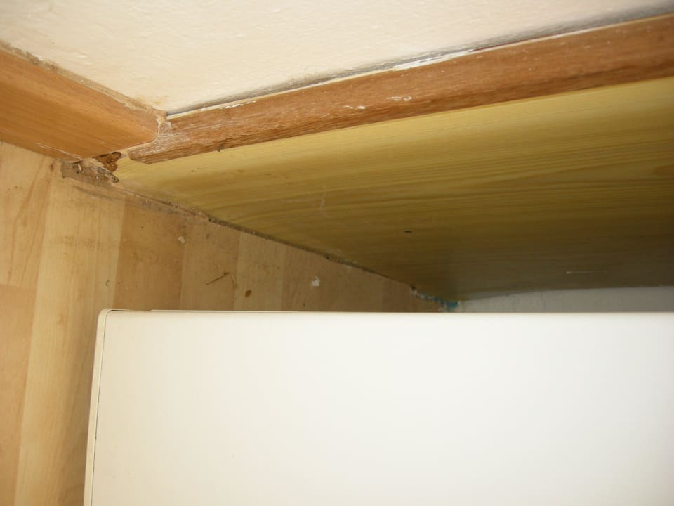 Frigo H10 White Suites