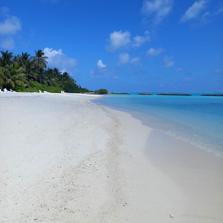 Strand Summer Island Maldives