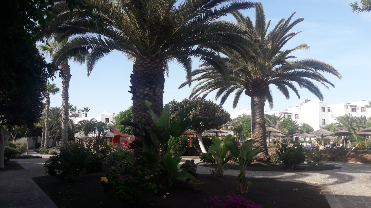 Gartenanlage allsun App.-Hotel Albatros