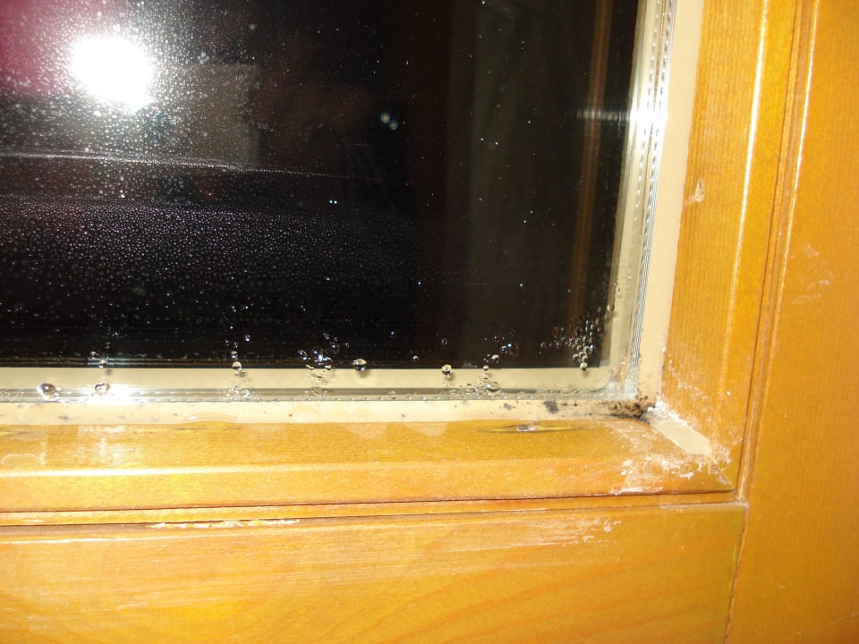 Fenster im Schlafraum Appartements Am Burgsee