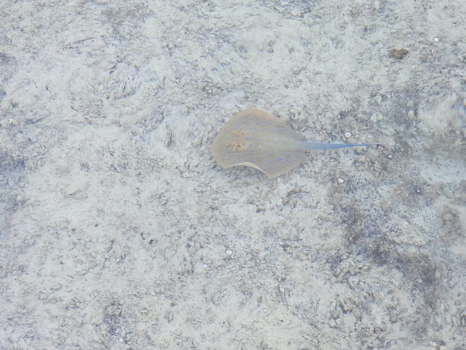 Strand Casa Mare Resort