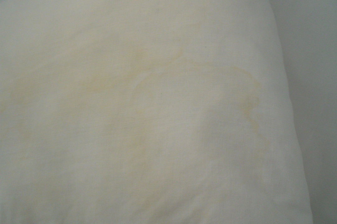 Kissen im Zimmer Hotel Aslan City Kleopatra