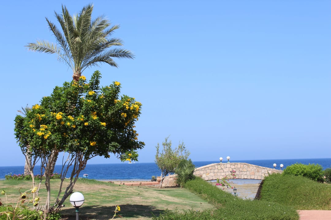 The Three Corners Equinox Beach Resort  Three Corners Equinox Beach Resort