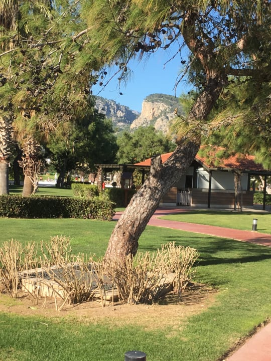 Gartenanlage TUI MAGIC LIFE Beldibi +16