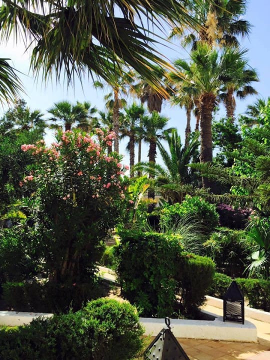 Die wunderschöne Gartenanlage Samira Club