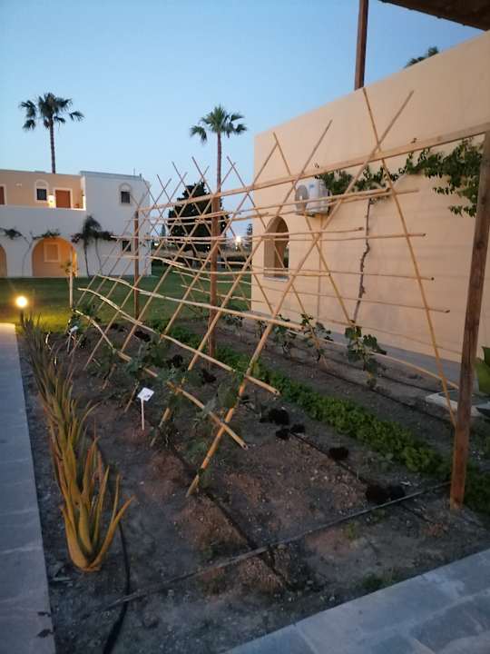 Gartenanlage Grecotel Casa Paradiso