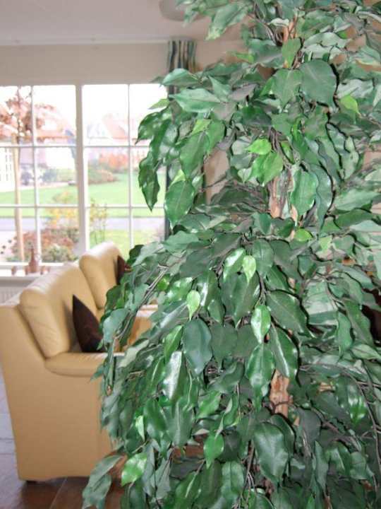 Wohnzimmer Buitengoed Het Lageveld Ferienhäuser/Villas Hoge Hexel