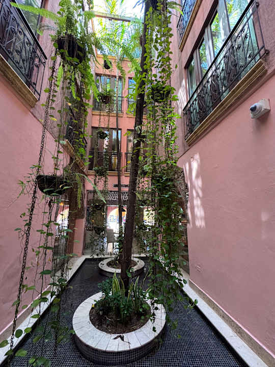 Lobby Santa Catalina Hotel