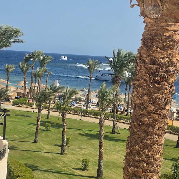 Zimmer Pickalbatros Palace Hotel-Port Ghalib