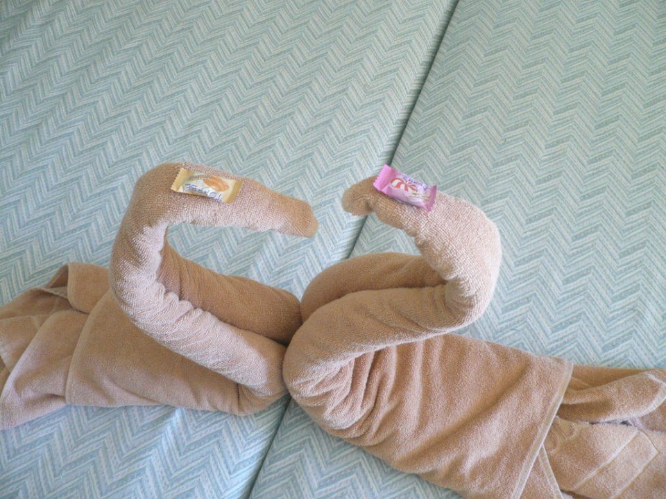 Schwäne SBH Costa Calma Beach Resort