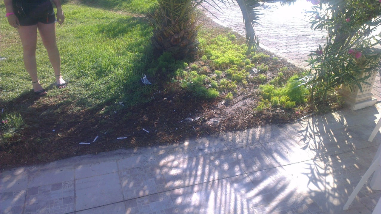 Morgens The Club Hammamet