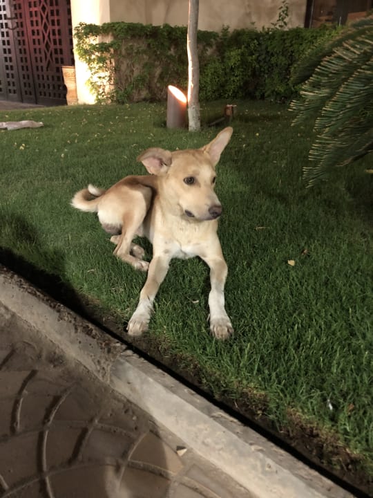 Sonstiges Steigenberger Aqua Magic