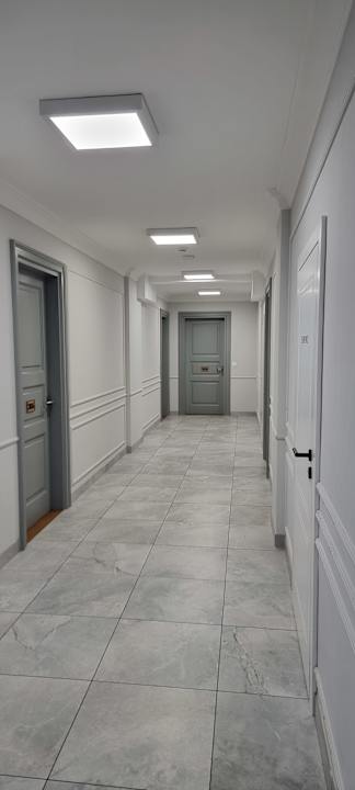 Zimmer MR67 Mayera Rapaporta