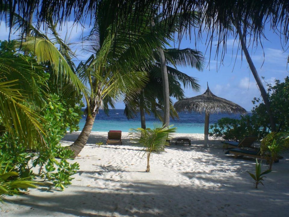 Ausblick von Bungi 43 Filitheyo Island Resort