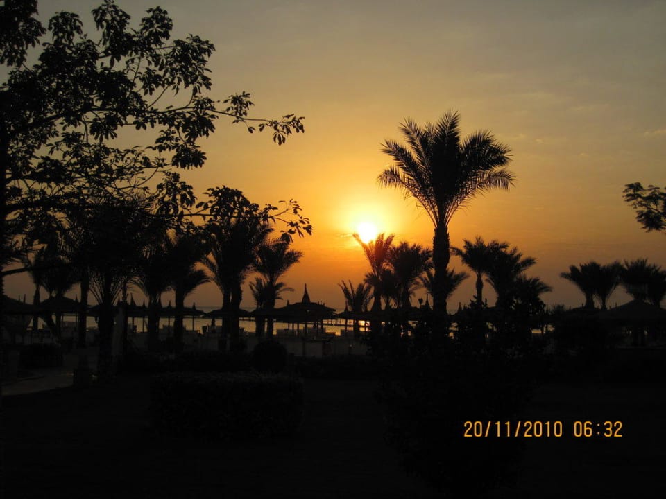 Sonnenaufgang Pickalbatros Palace Resort