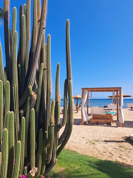 Strand Shams Prestige Abu Soma-Adults Only