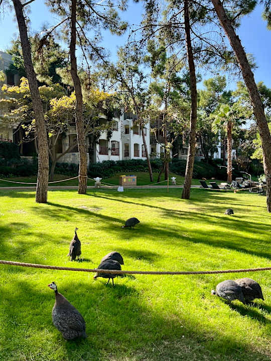 Gartenanlage Hapimag Sea Garden Resort