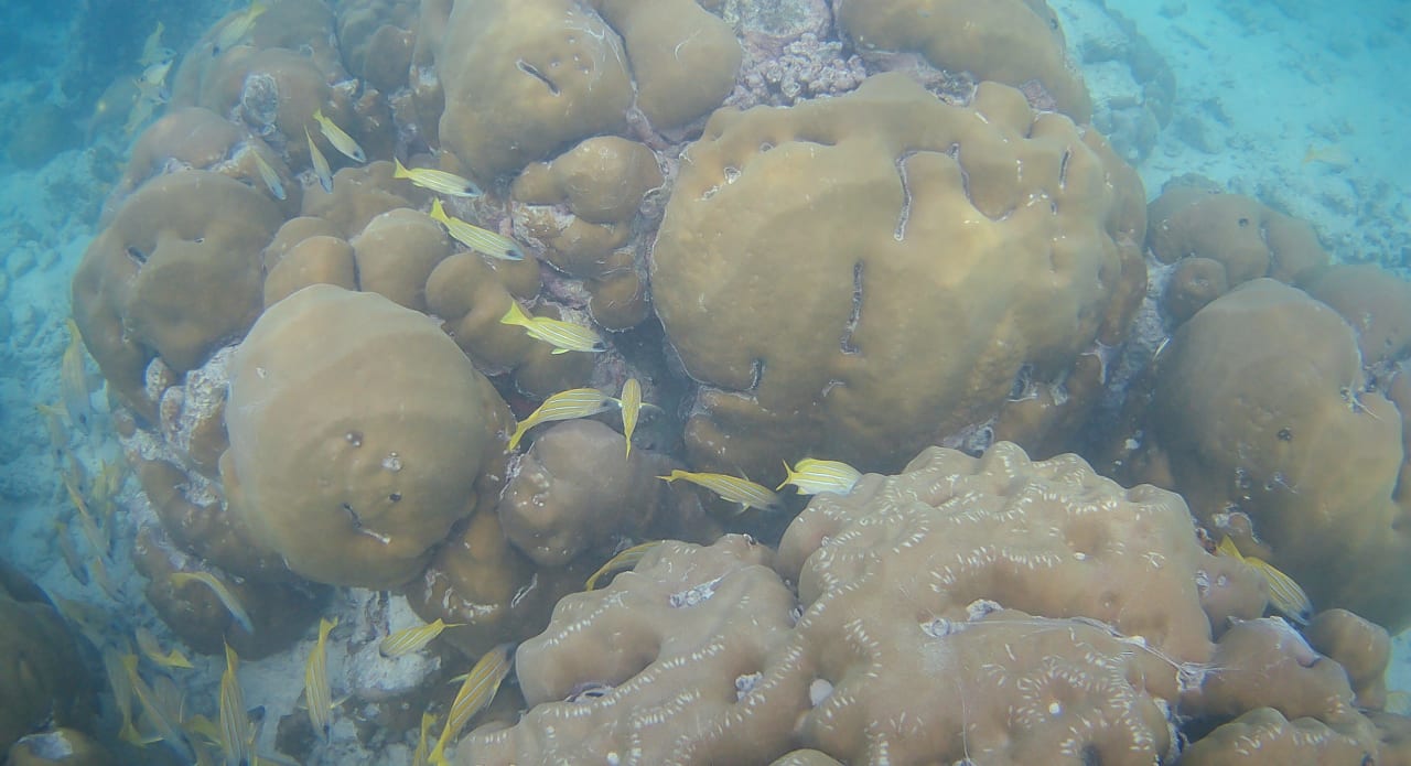 Sonstiges Summer Island Maldives