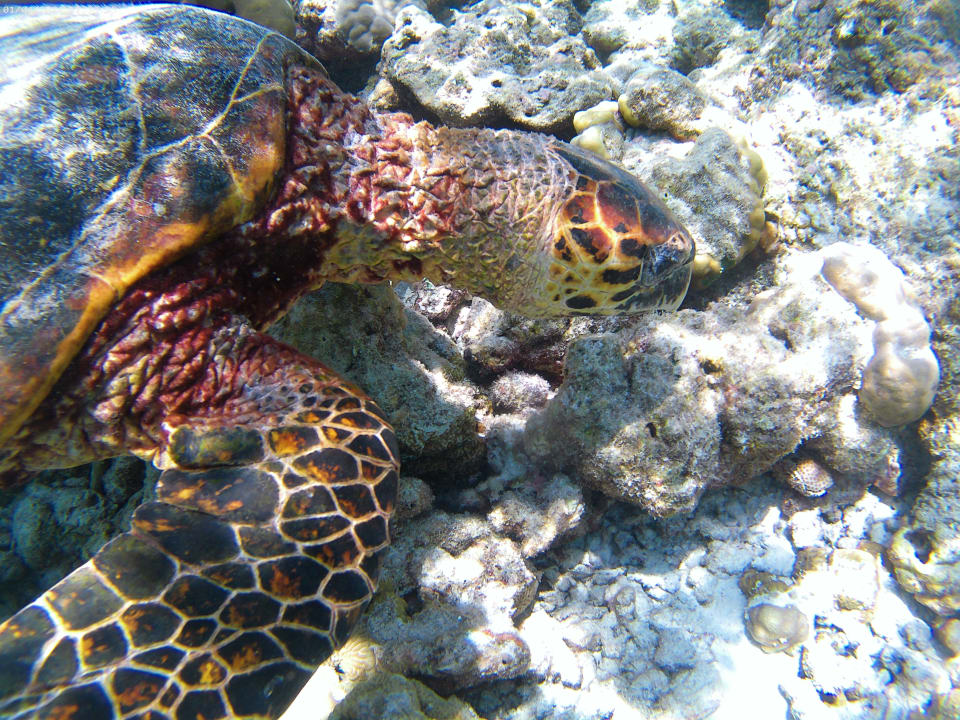 Sport & Freizeit NH Collection Maldives Reethi Resort