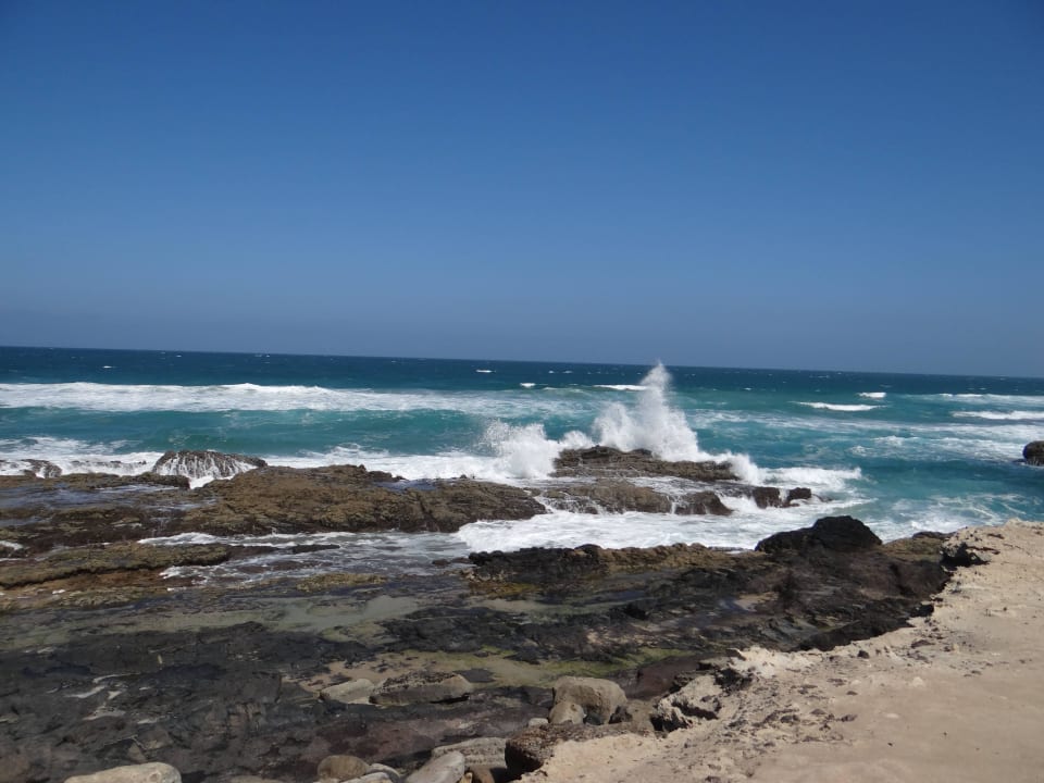 Karibik Valentin El Patriarca Varadero