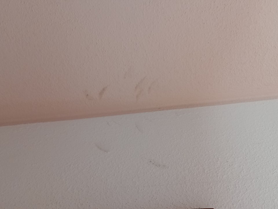 Zimmer Sant Elmo Beach Hotel