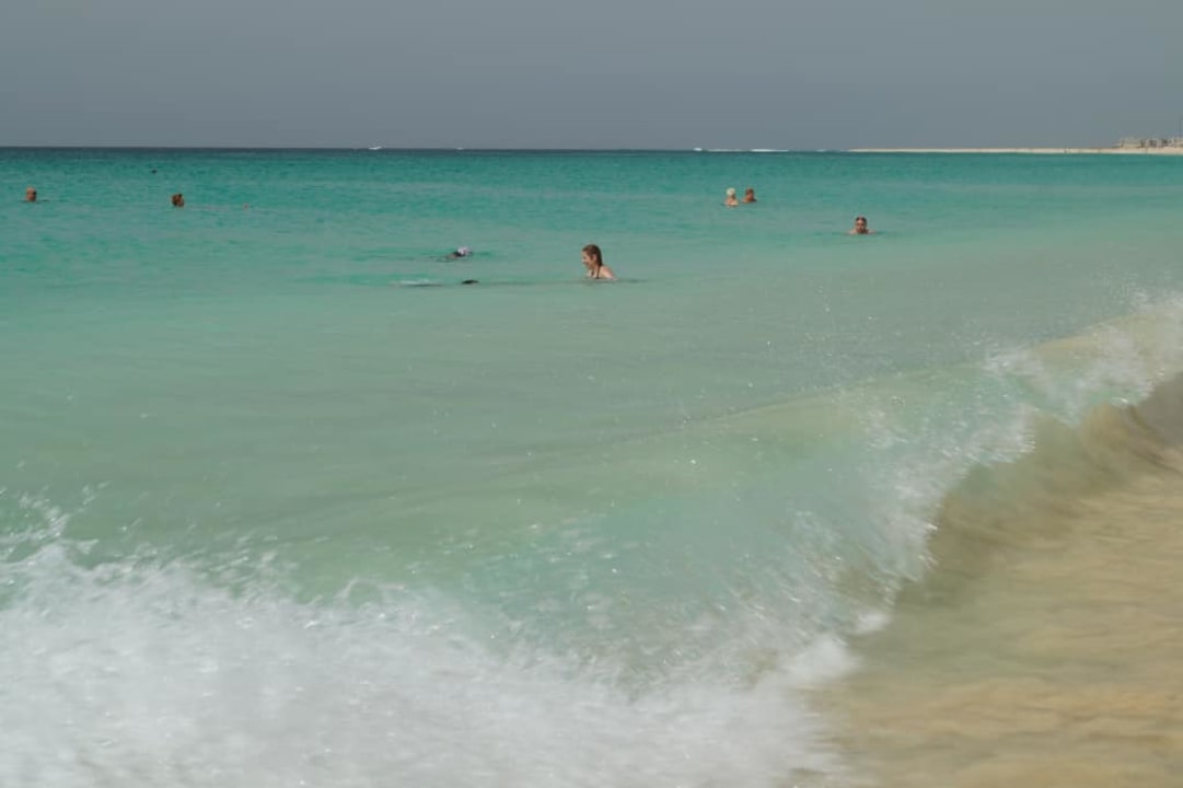 Zabawa w wodzie Oasis Salinas Sea