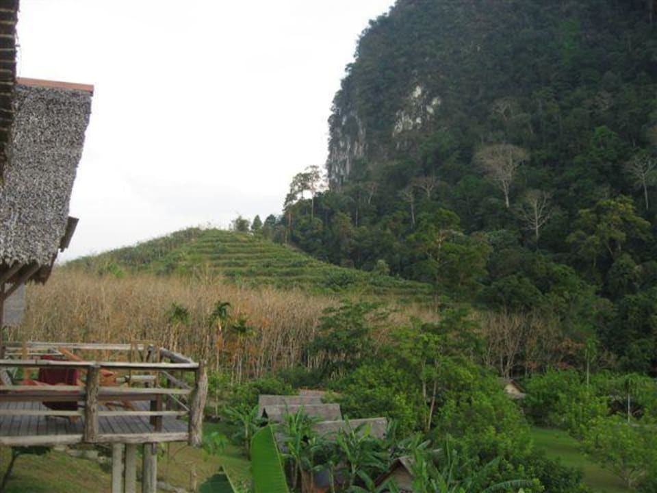 Toller Blick von der Terrasse in die Natur Hotel The Cliff & River Jungle Resort
