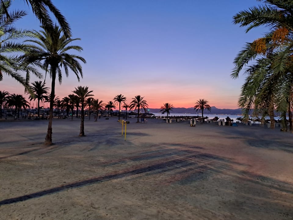 Strand HSM Reina del Mar