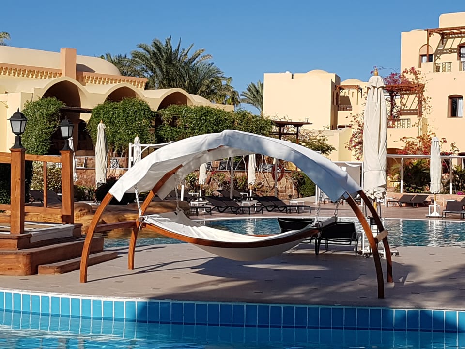 Pool Steigenberger Coraya Beach - Adults only