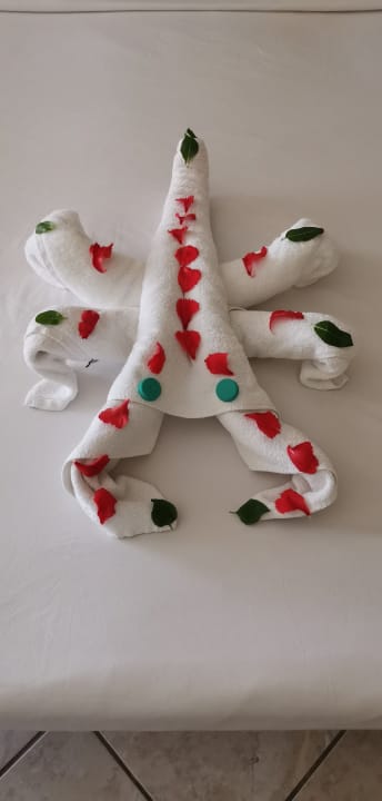 Zimmer Casa Mare Resort