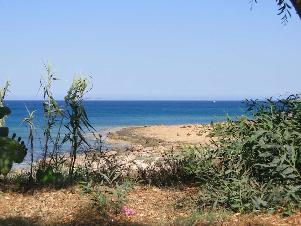 Crystal Springs Beach Hotel Crystal Springs Beach Hotel