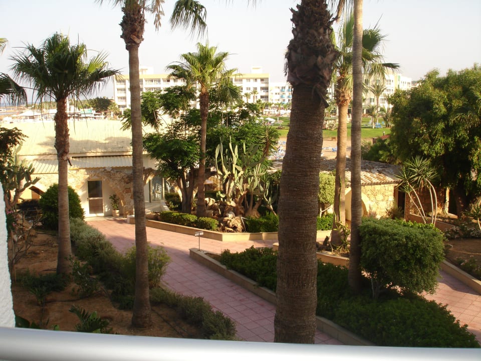 Ausblick vom Zimmer Pernera Beach Hotel