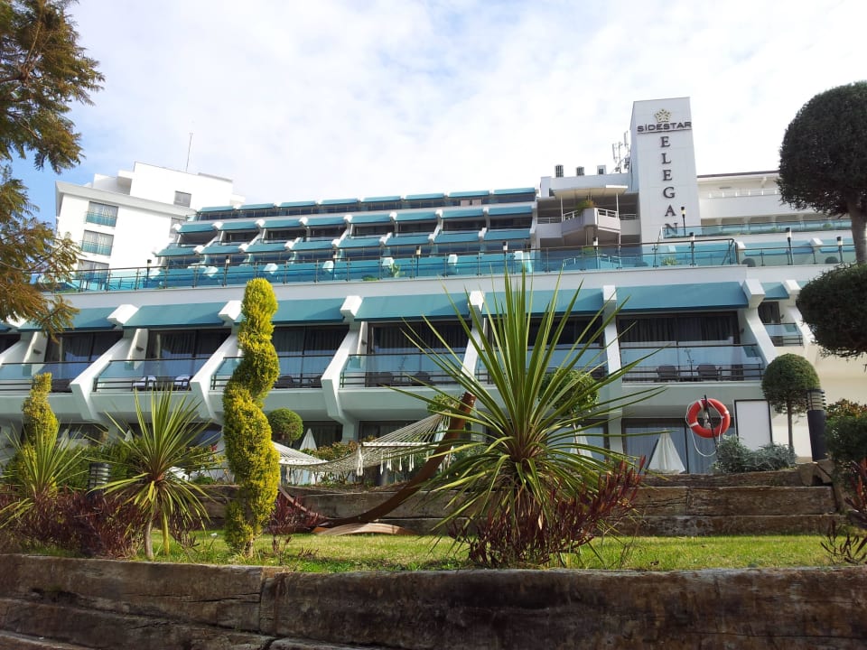 Schön grün überall Side Star Elegance