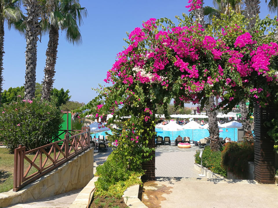 Gartenanlage Alba Resort Hotel